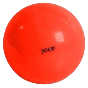 Kamuolys Physio Gymnic Ø 85 cm