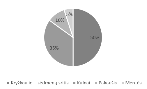 Dažniausios pragulų atsiradimo vietos